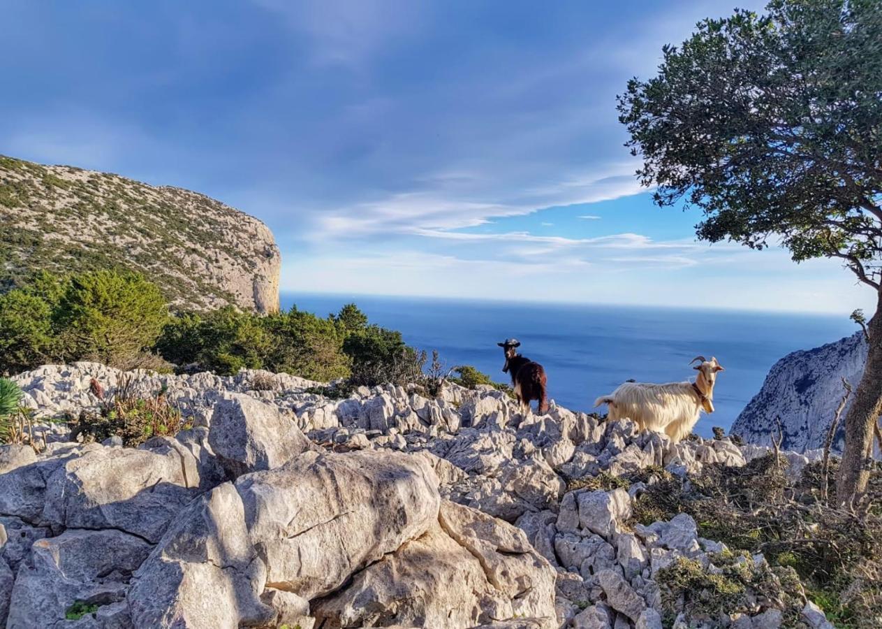 Appartamento Tra Mare E Montagna Баунеї Екстер'єр фото